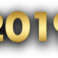 Godišnji izveštaj sa mišljenjem revizora za 2019